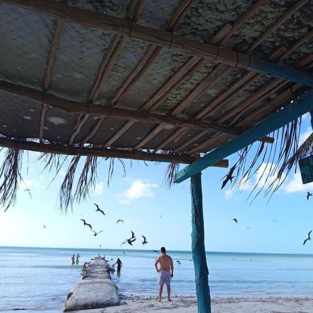 Mi Habitat Holbox-Maravilla Natural Экстерьер фото