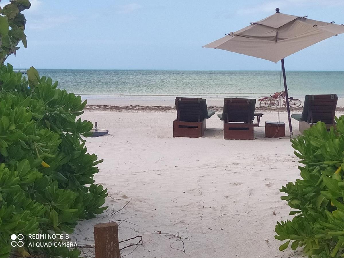 Mi Habitat Holbox-Maravilla Natural Экстерьер фото