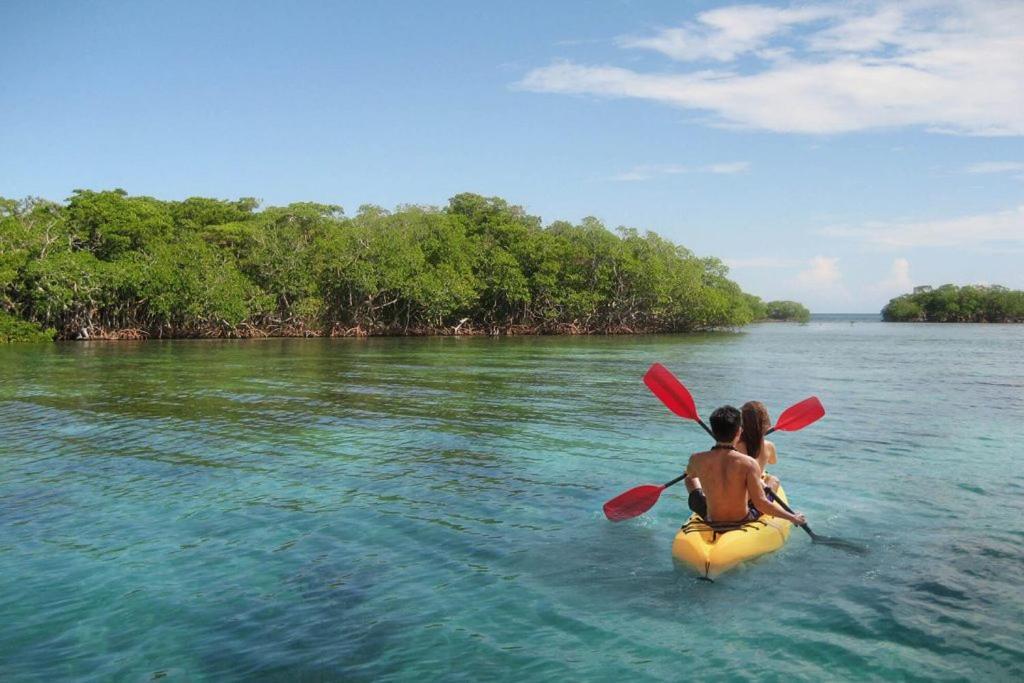 Mi Habitat Holbox-Maravilla Natural Экстерьер фото