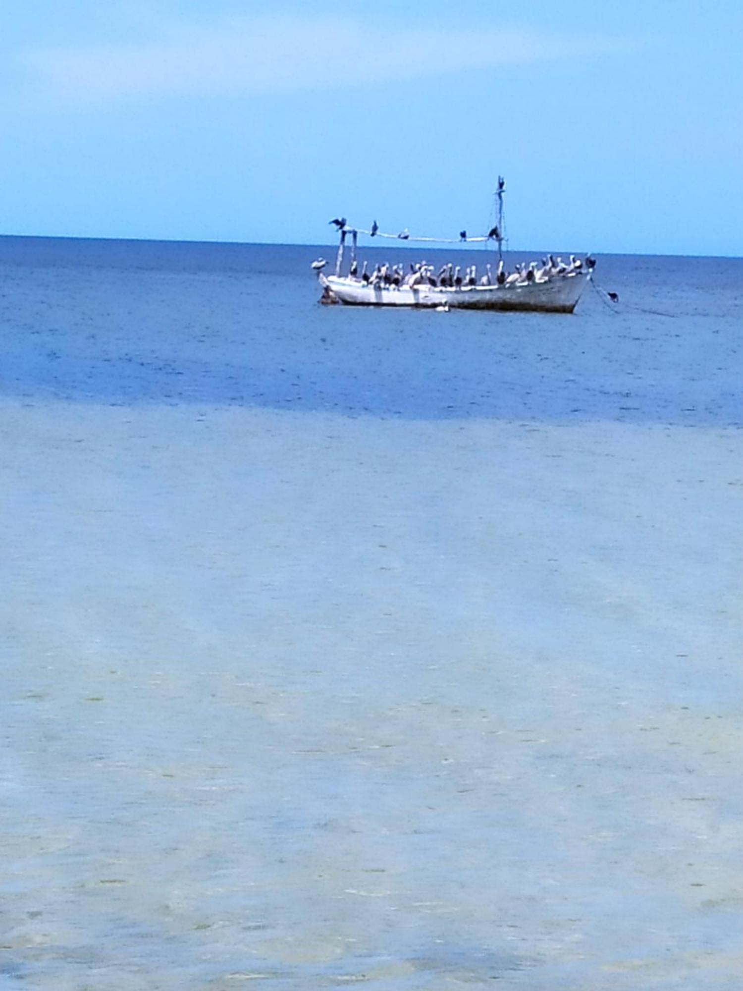 Mi Habitat Holbox-Maravilla Natural Экстерьер фото