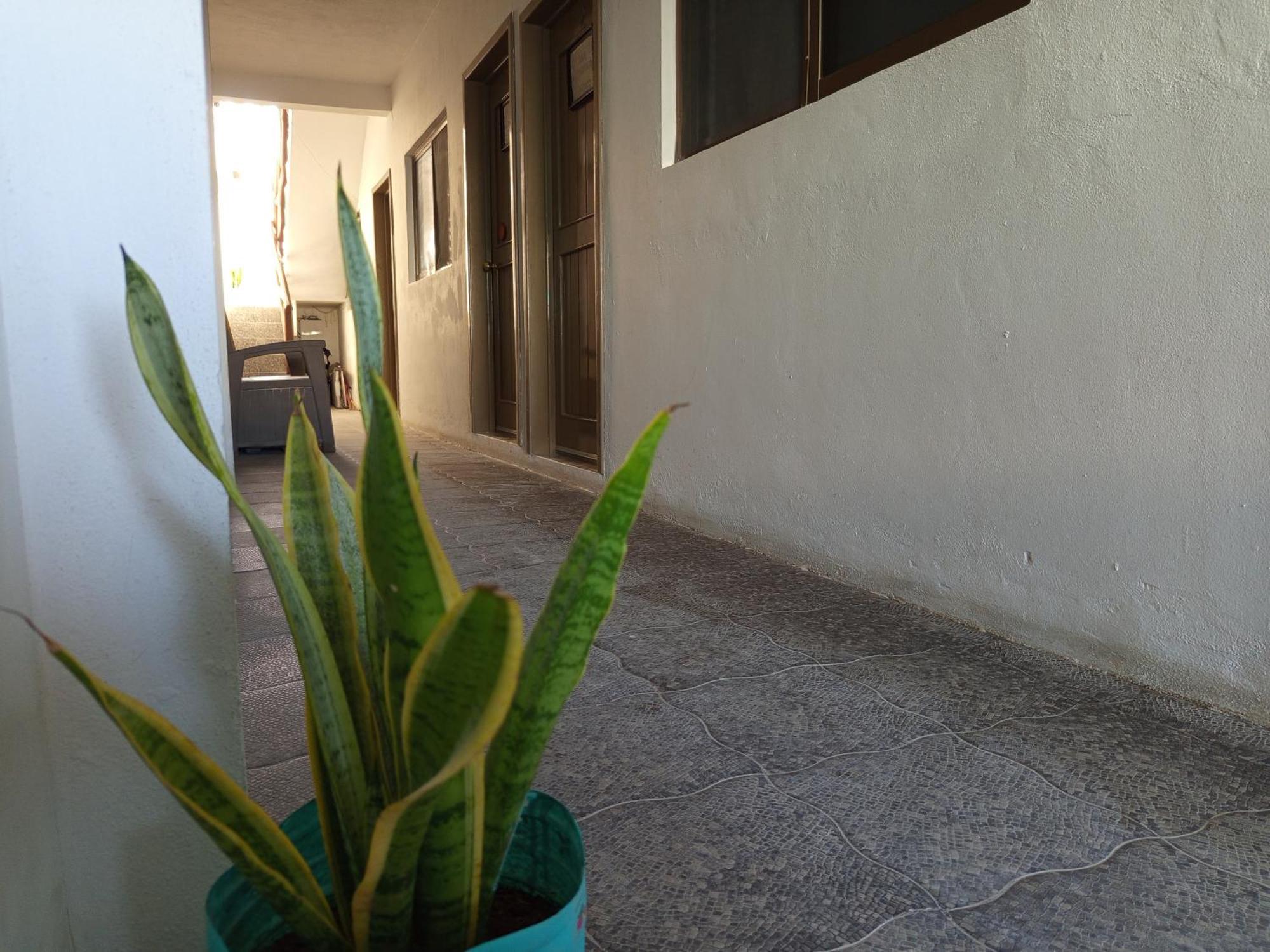 Mi Habitat Holbox-Maravilla Natural Экстерьер фото
